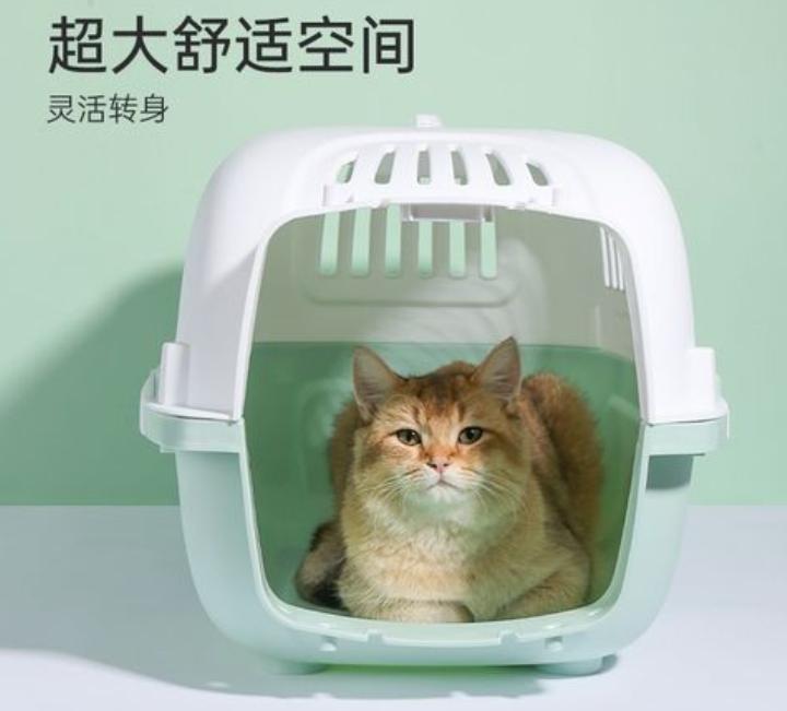 怎么邮寄宠物猫到外地 ，小猫如何托运到外地.jpg